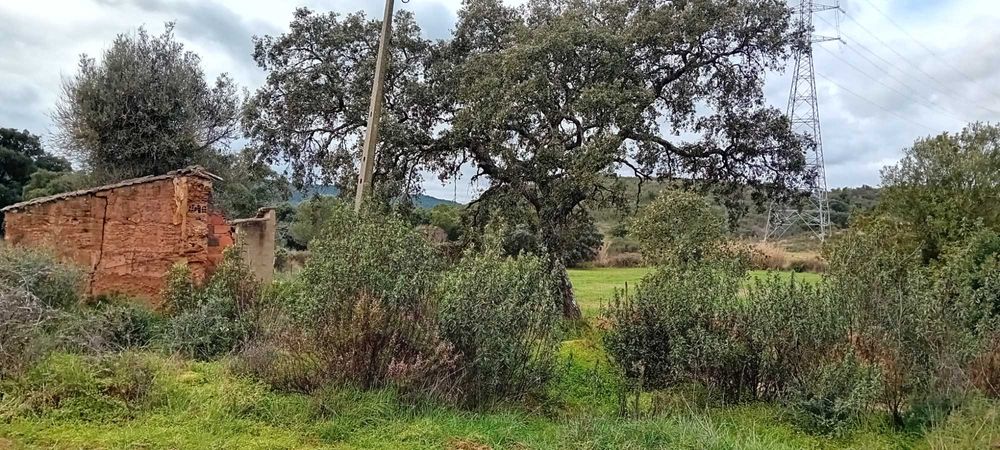 Oportunidade no Algarve! Terreno com ruina!