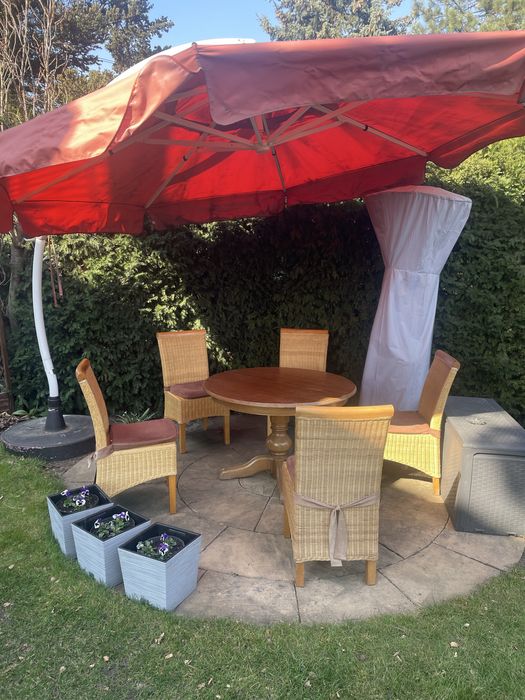 Krzesło Krzesła rattanowe drewno ogród zimowy