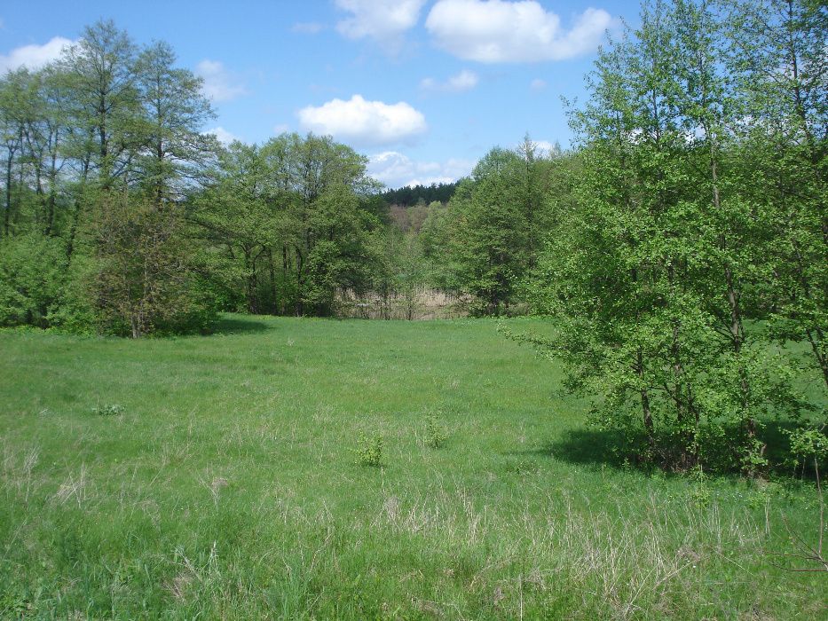 Срочно -земельный участок с постройками