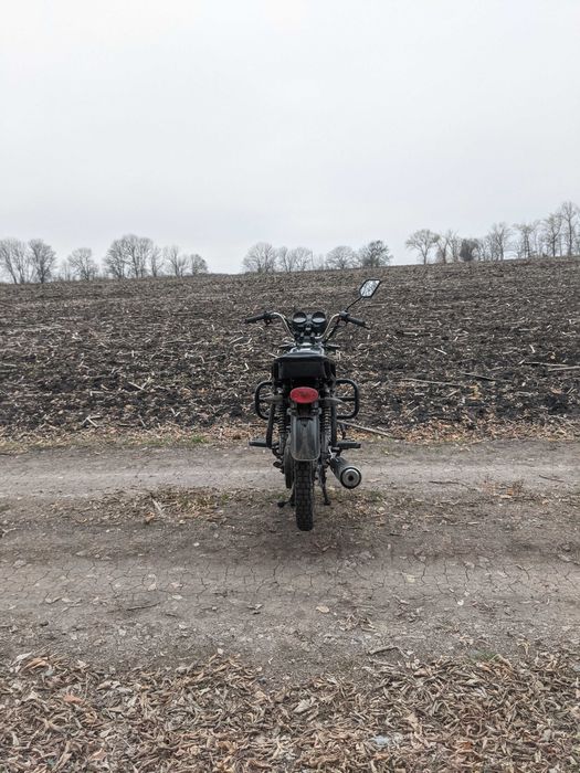 Мустанг фіт 125 Альфа