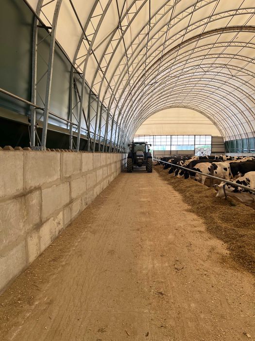 Hala na Bale, Hala Rolnicza, Skavska Hale, Hala Plandekowa, Obora