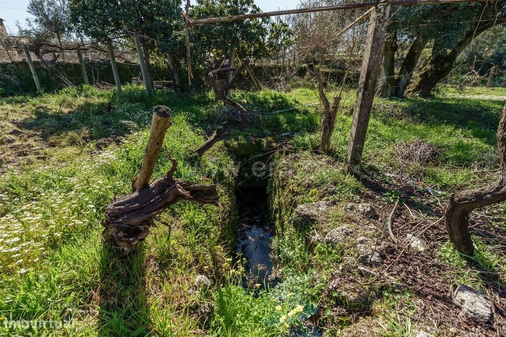 Terreno / Fundão, Martianas