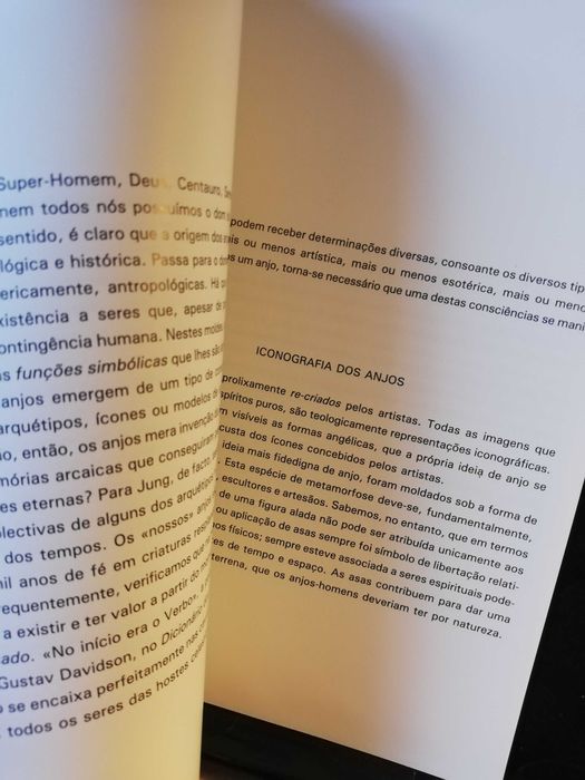 Catálogo: Anjos - Alberto Vieira, edição da Câmara Municipal de Barcelos, 1995
