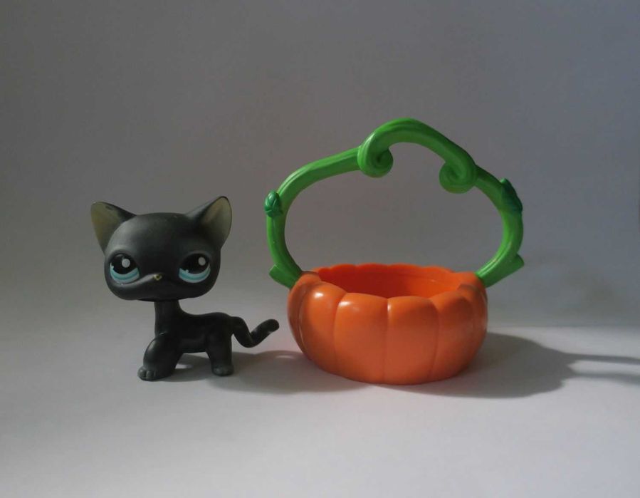 Kot shorthair #994 Littlest Pet Shop lps z dynią zestaw Mszczonów