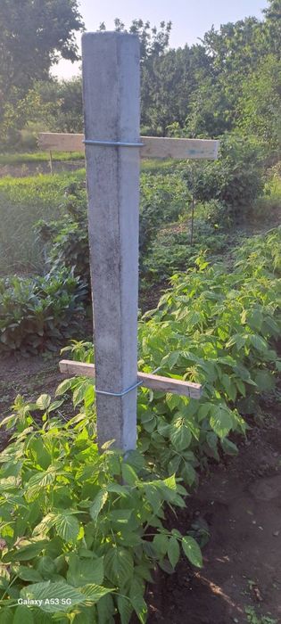 Залізобетонні стовпчики для малини/саду/огорожі