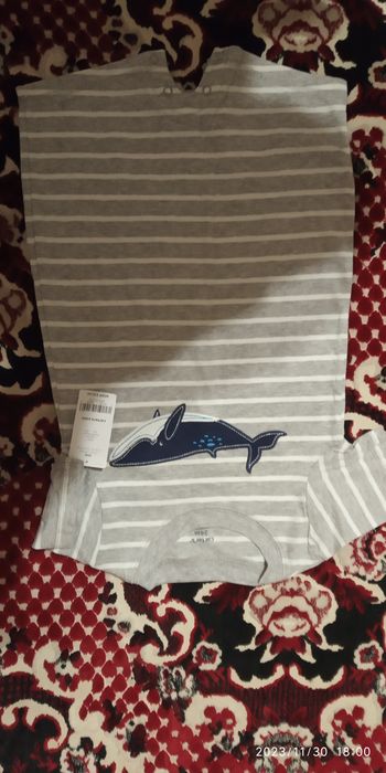 Бодік на 24 місяця