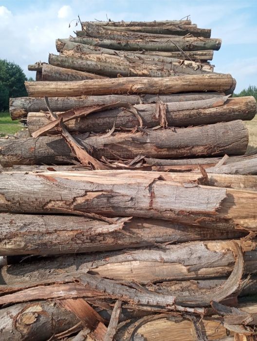 Drewno Kominkowe/ Opałowe