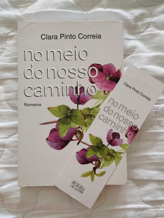 Livro "No meio do nosso caminho"