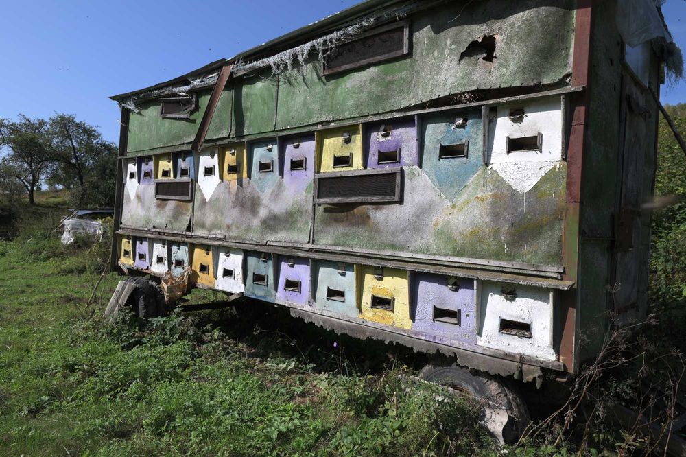 Павільйон на 50 бджолосімей