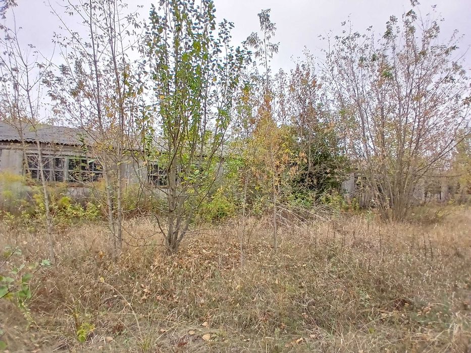 ОРЕНДА приміщення вільного призначення 1300 м.кв Дорогинка