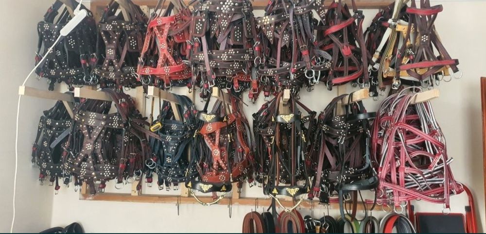 На коня Вуздечка кантарка капистра збруя упряж