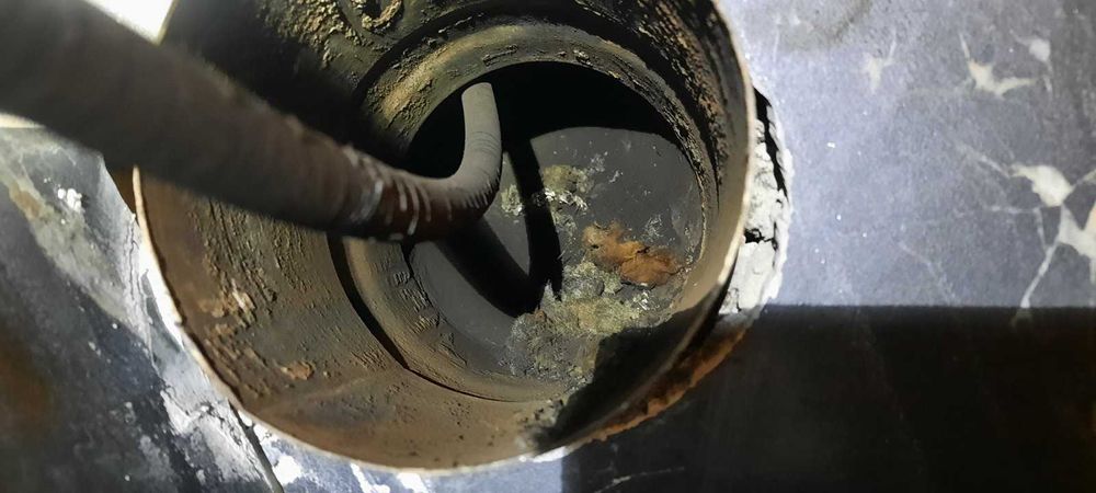 Сажотрус Трубочист