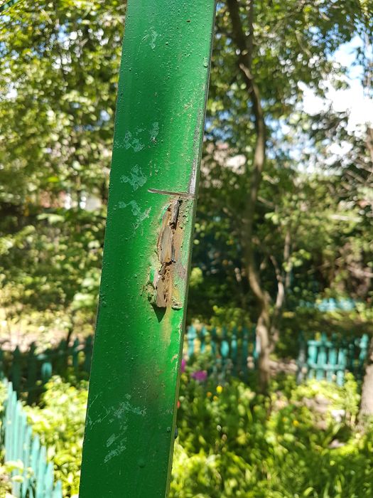 Металеві двері саморобні