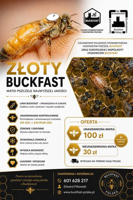 Matki Pszczele Buckfast unasiennione i nieunasiennione