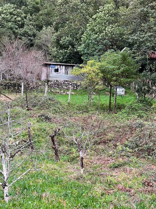Terreno Rústico Seixal Chão da Ribeira