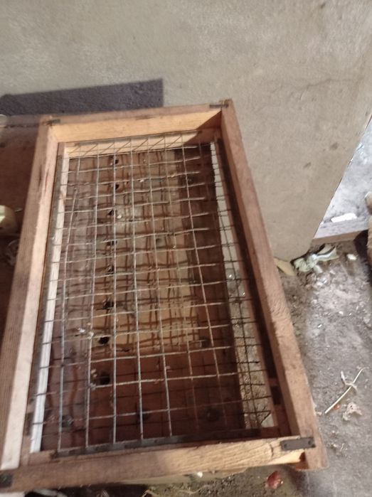 Продам инкубатор