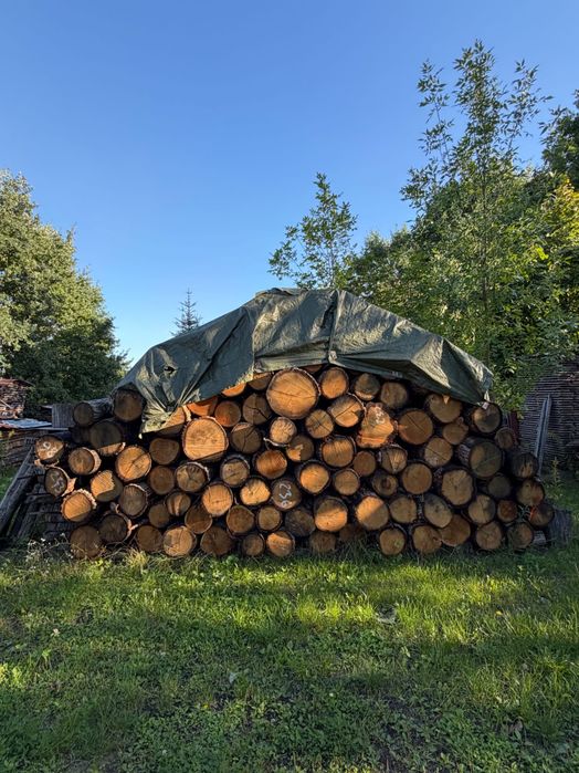 Dąb sortowany sezonowany – klocki 16 m³