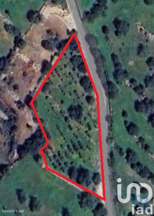 Terreno Agrícola em Conceição e Estoi