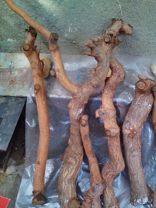Продам коряги большие разные
