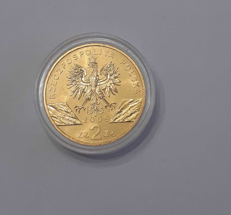 2 zł Jaszczurka zielona 2009