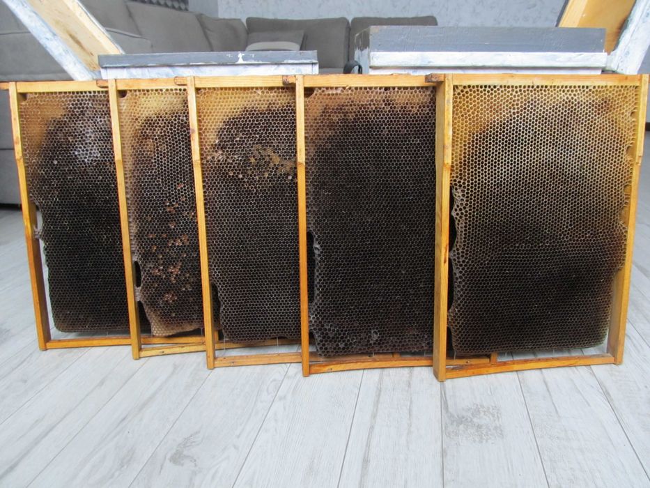 Роєловка , роївня, Рамконос, 6 рамковий вулик на українську рамку .