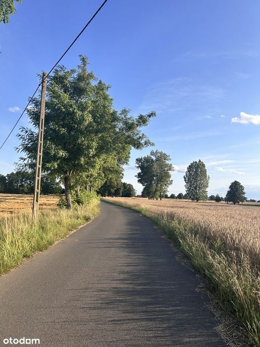 Zdjęcie 8
