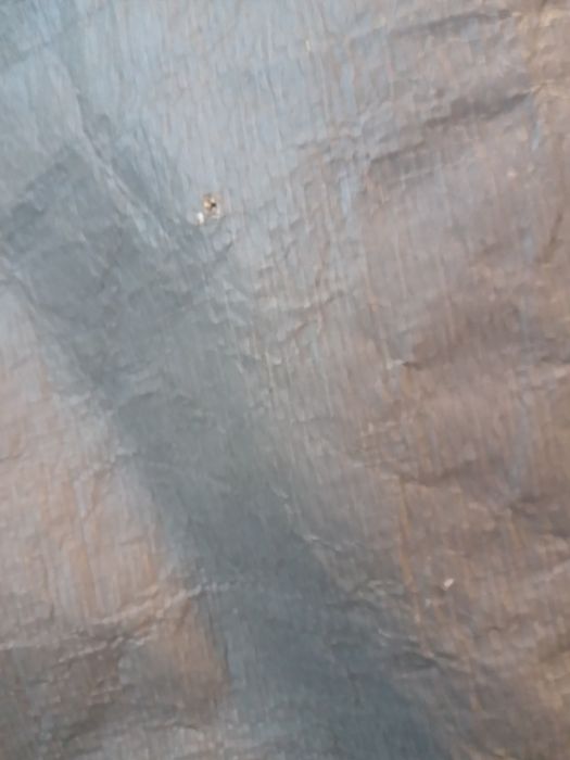 Namiot kempingowy dmuchany  Quechua Air Seconds 4.1 Fresh & Black 4 os