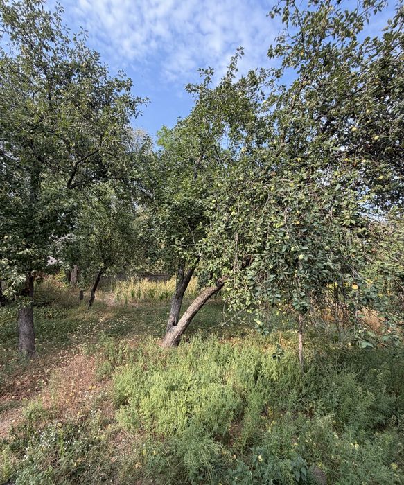 Продаж будинку у селі Малі Кошарища