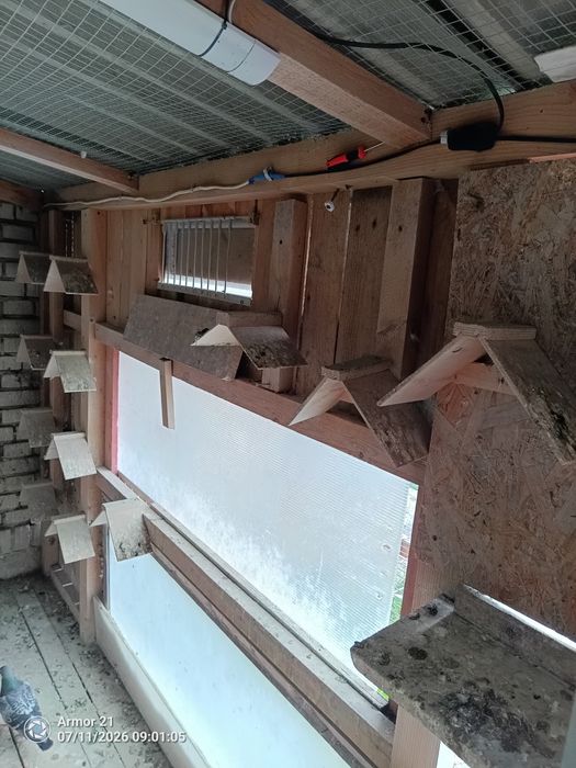 Gołębnik 7.5m x 2m