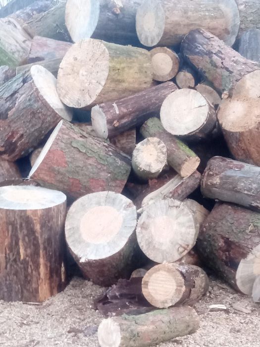 Drewno opałowe sucha sosna w klockach