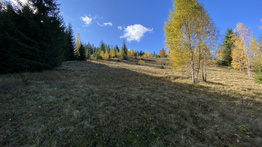 Земля під будову, межує з лісом, гарний доїзд