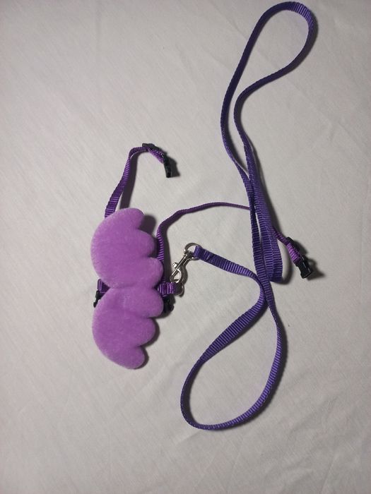 Повідок для декоративного кролика