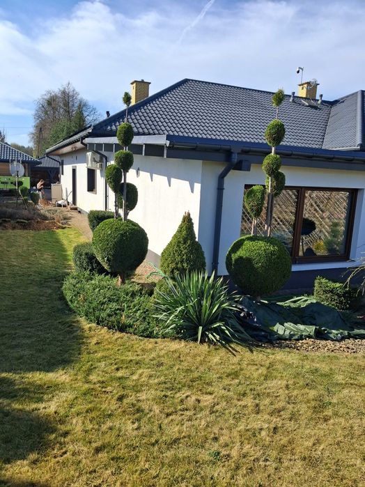 Pielęgnacja ogrodów - Wycena darmowa