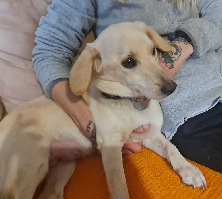 Balbinka to istne cudo