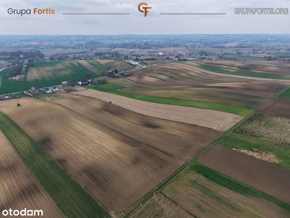 Działka rolna 1,59 ha | Jakubowice, proszowicki - Widok 6