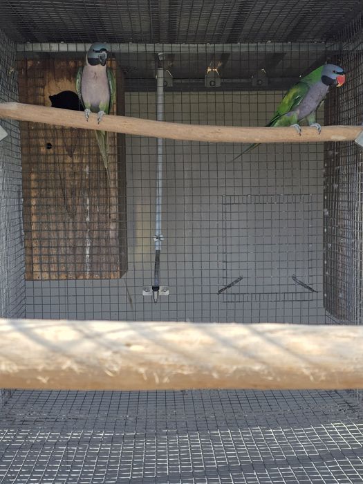 Casal de Derbiana