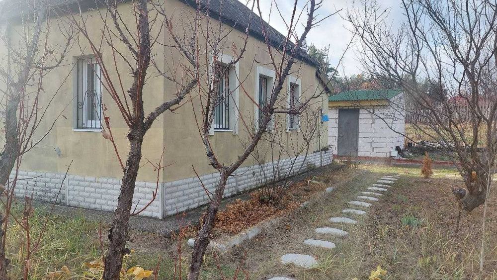 Продам дом с. Чемужовка Хвойный лес