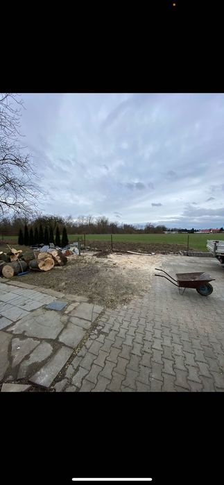 Usługi ogrodnicze/Wycinanie drzew