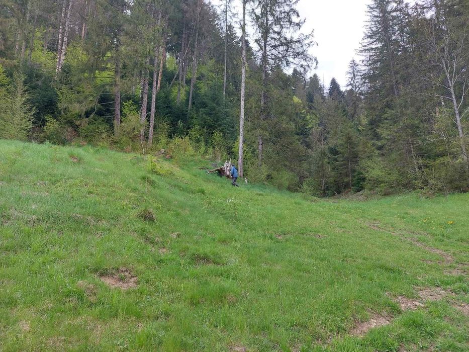 Продаж земельної ділянки в селі Микуличин