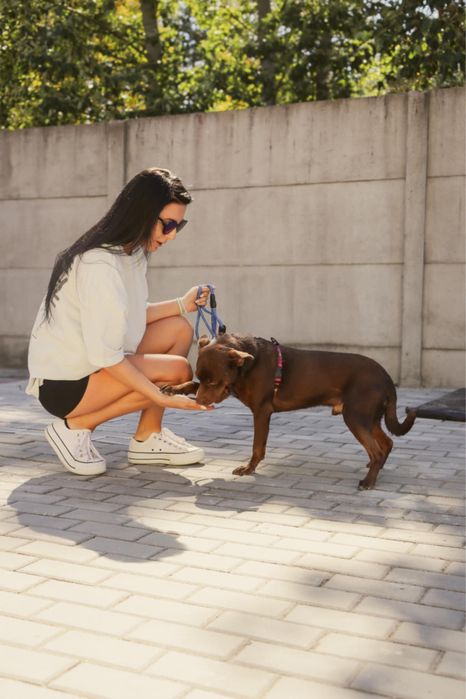 Ego szuka domu na zawsze