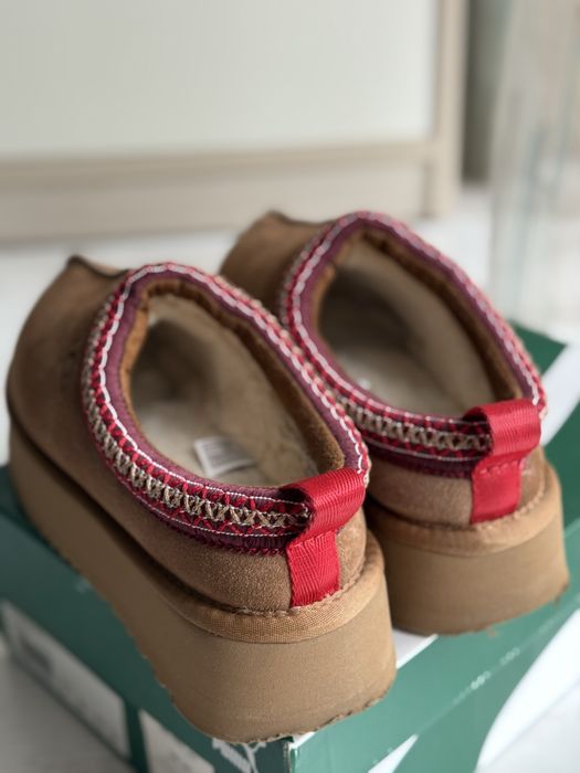 Ugg Tazz замшеві капці