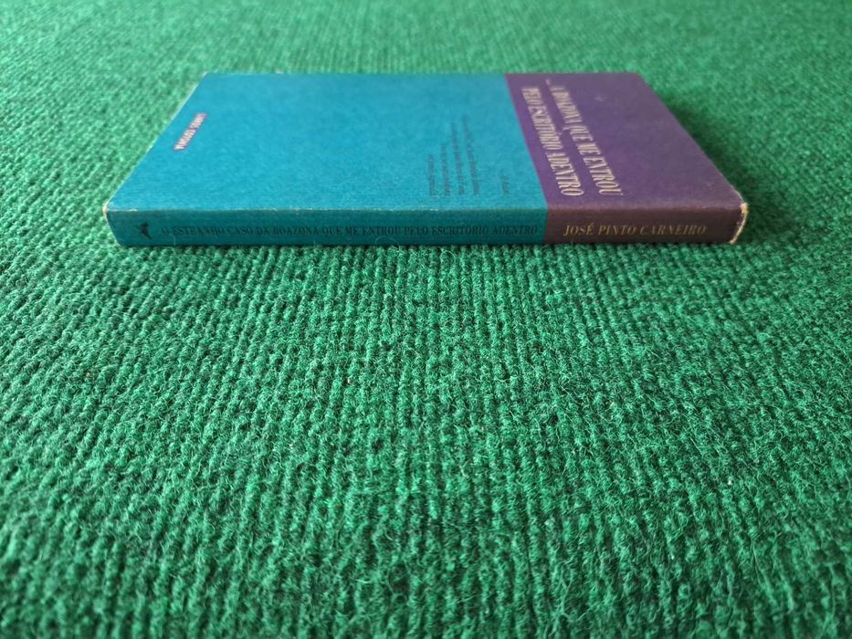 O estranho caso da boazona que me entrou pelo escritório adentro