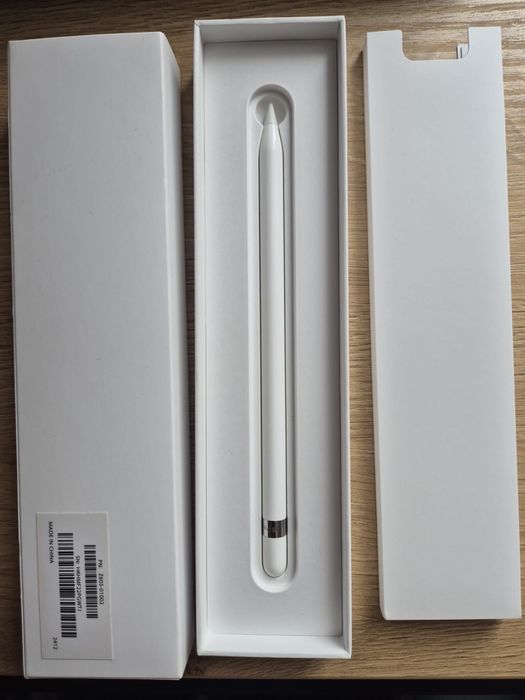 Rysik Apple Pencil