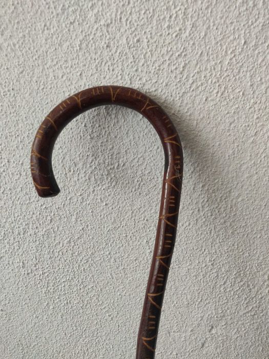 Bengala africana