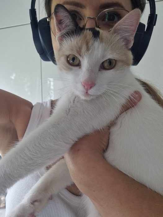 Morelka do adopcji