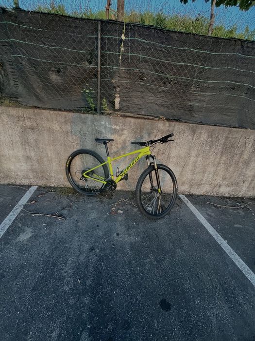 Specialized rockhopper 29