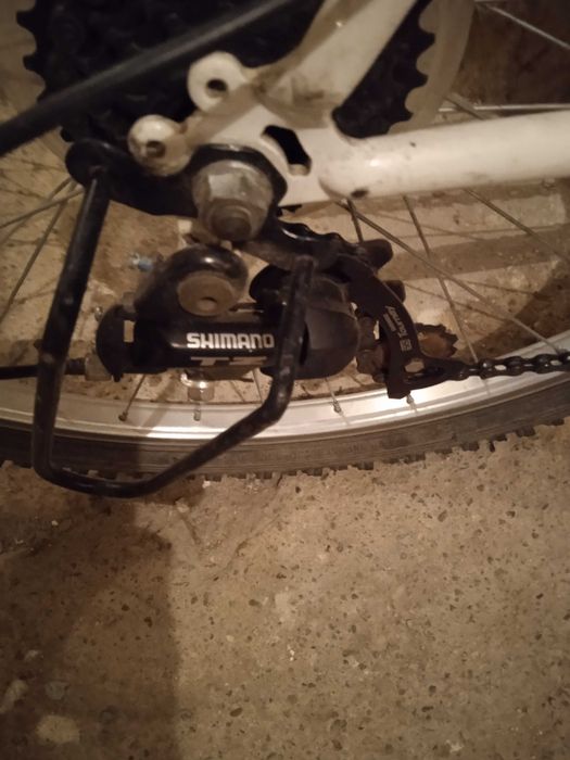 Rower męski sportowy