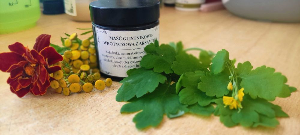 Naturalna Maść z Wrotryczu Glistnika Aksamitki 60 ml Bogaty Skład