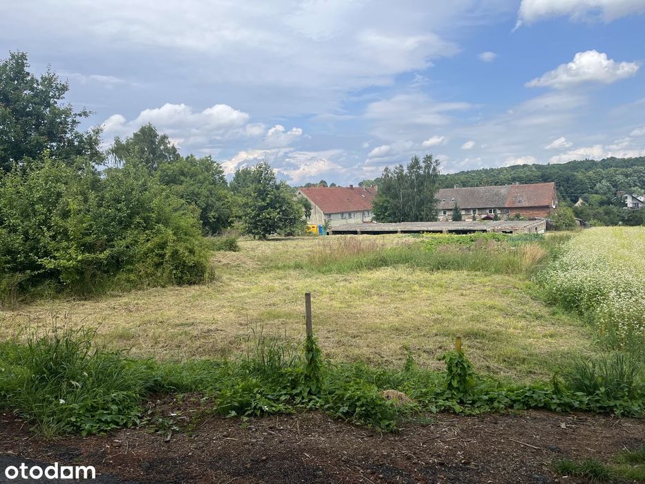 Działka inwestycyjna 2277 m² z mediami | Olszyna, ul. Chopina - Widok 5