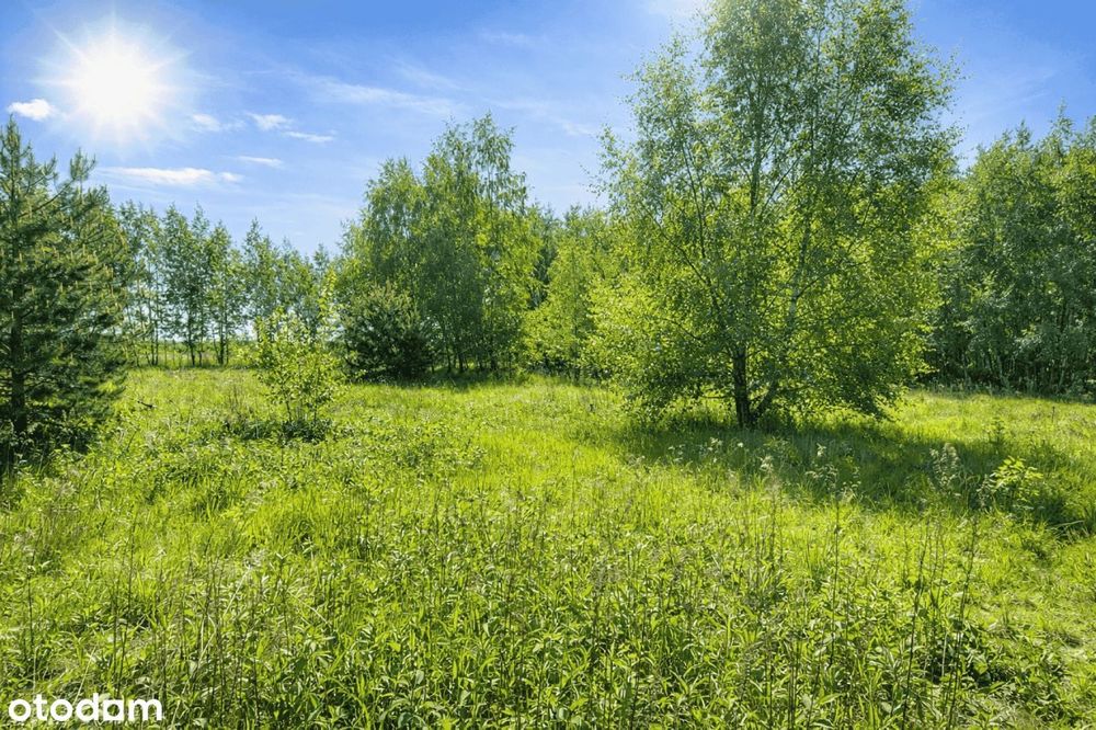 Uzbrojona działka budowlana niedaleko Prażmowa